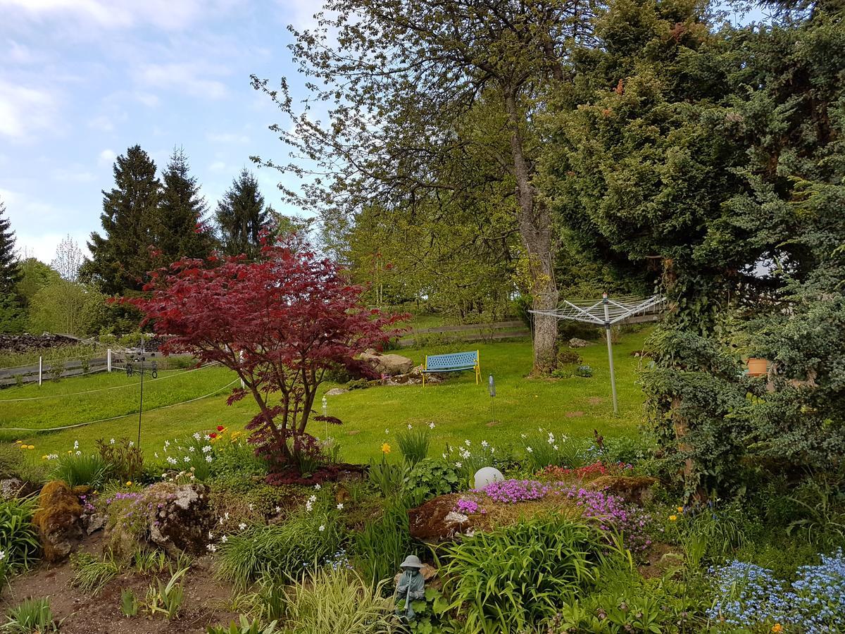 Ferienwohnung Dersch Mauth Esterno foto